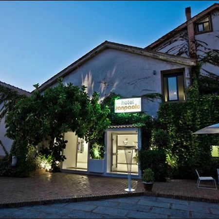 Hotel San Paolo Palinuro Zewnętrze zdjęcie